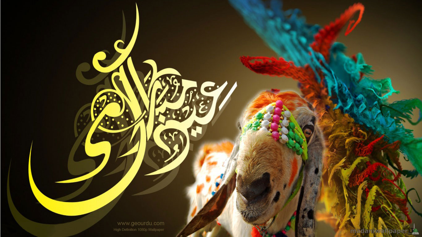 Bakra Eid HD Wallpapers Free Download