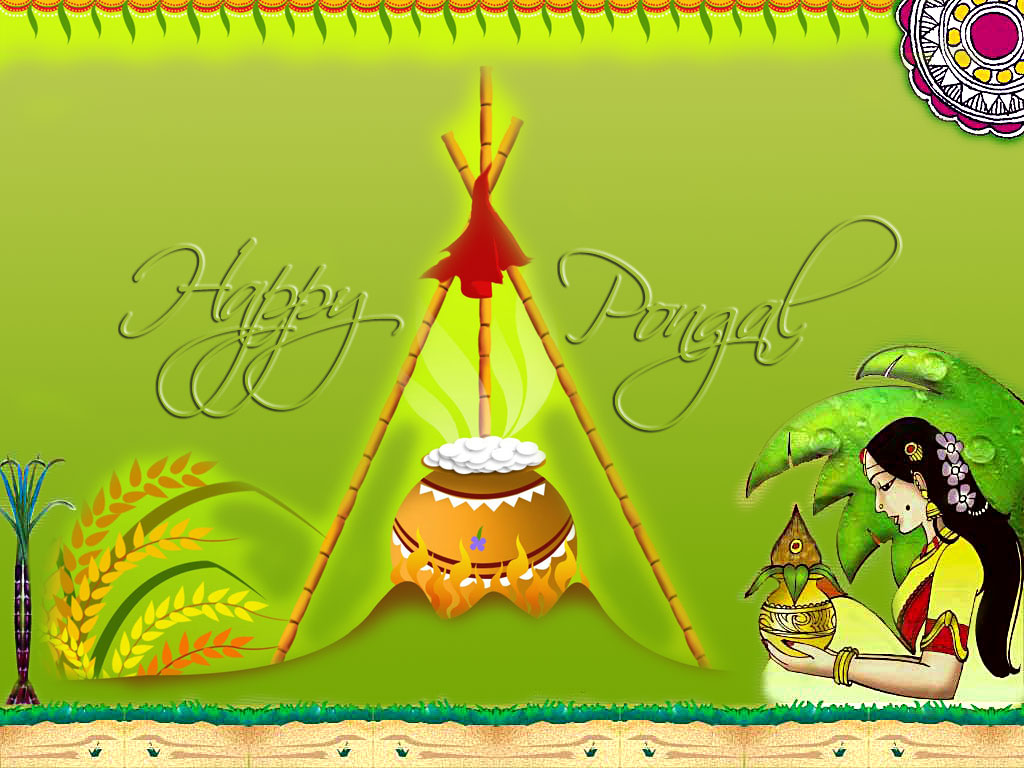 Free Pongal Wallpapers Images