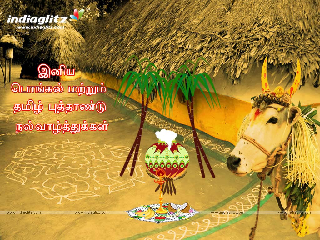 Tamil Pongal Wallpapers and Pictures